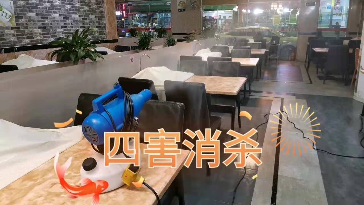 广州杀虫公司：灭蟑螂最好的方法